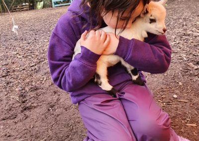 A child dressed in purple wellingtons, purple trousers and a purple fleece top cuddling a goat kid at Huckleberries base camp.